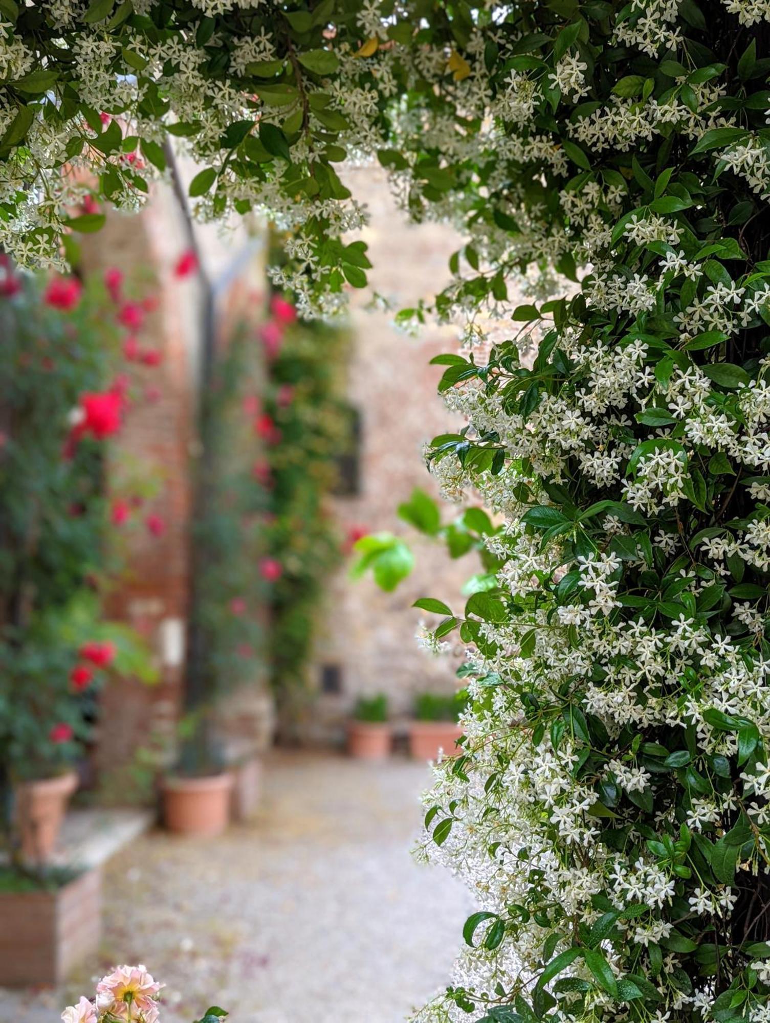 Enchanting فيرونا المظهر الخارجي الصورة